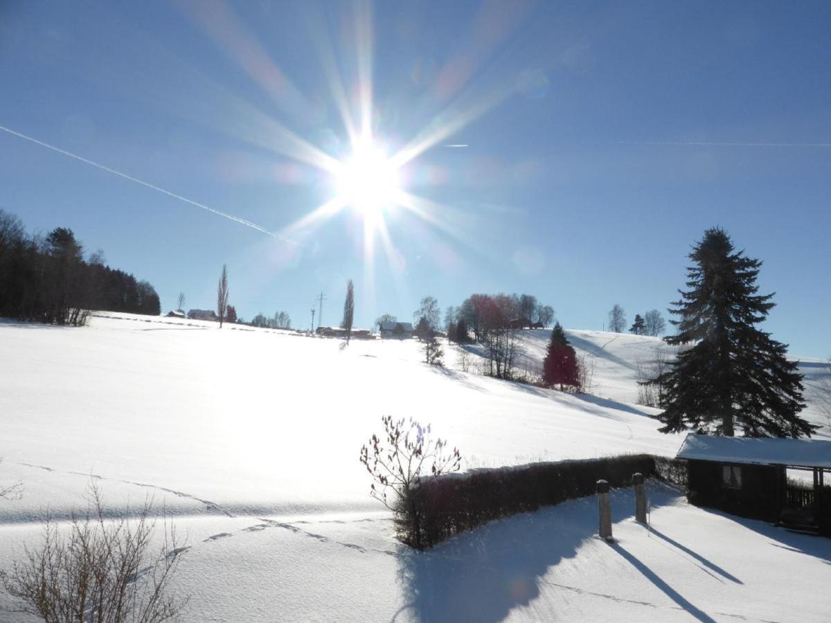 Wieshof Mein Ferienglueck Regen Bagian luar foto