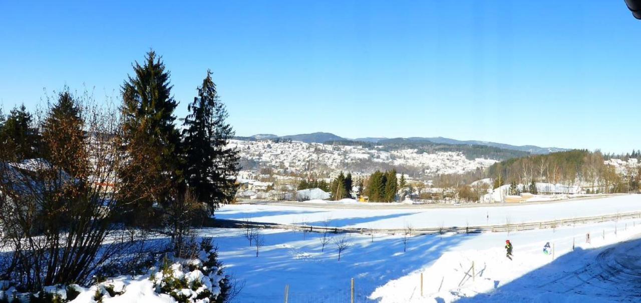 Wieshof Mein Ferienglueck Regen Bagian luar foto